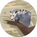 Gina Avatar